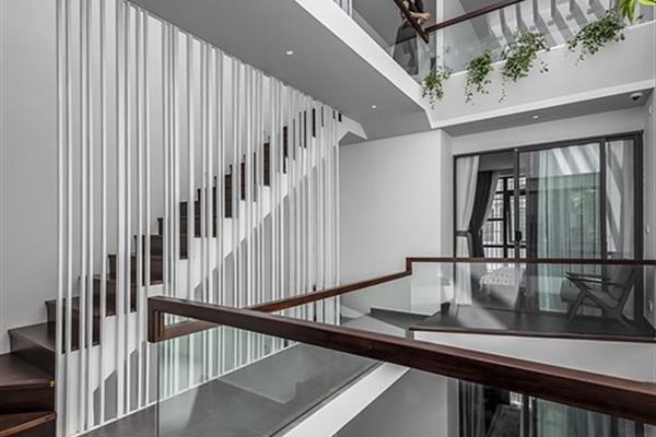 Nhà phố thông thoáng như ở quê