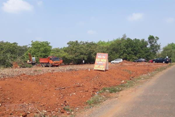 Lời 2 tỉ trong vòng 3 tháng không chịu bán, giờ lỗ gần 200 triệu mới hốt hoảng ra hàng