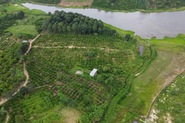 Bị khách "gài bẫy" cực kỳ tinh vi, chủ nhà cay đắng vì mất trắng 300 triệu tiền bồi thường