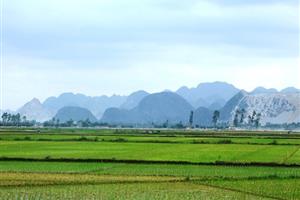 Đất hết hạn có bị thu hồi không?