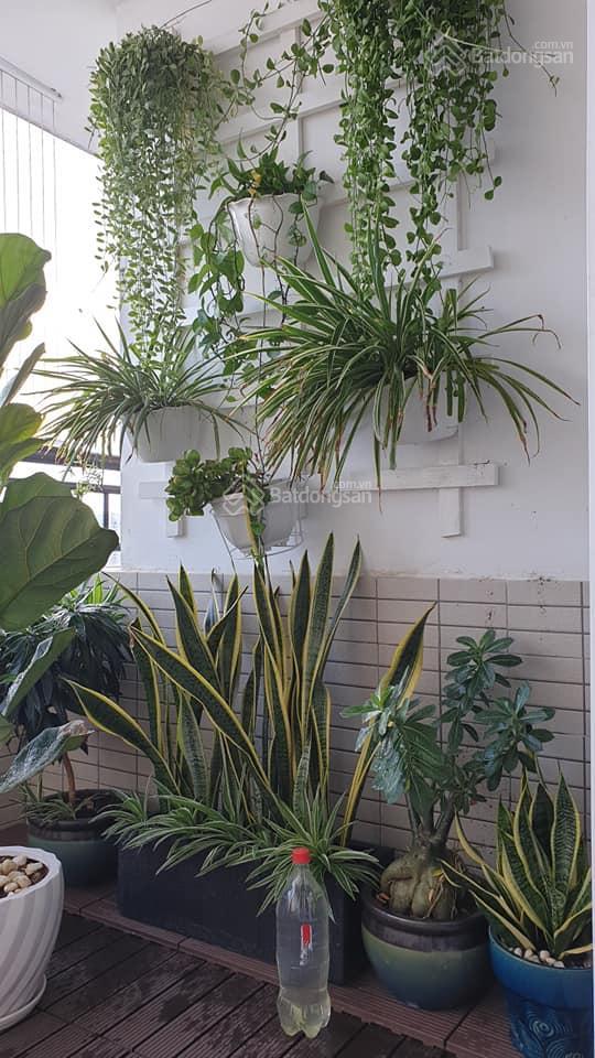 Bán căn hộ cc 4s riverside hiệp bình chánh, 79 m2, 4 tỷ 5, 2 phòng ngủ. 0909 445 ***