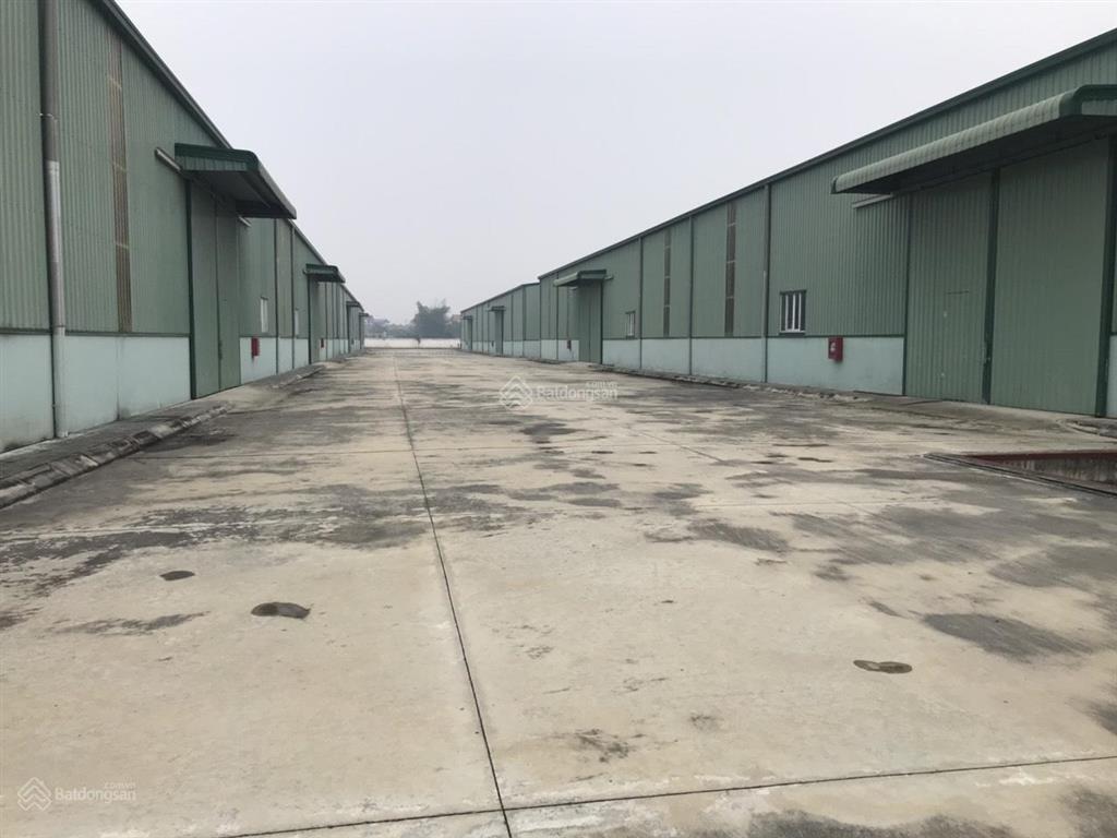 Cty dcn vn cho thuê kho xưởng lô 2b cụm cn tân dĩnh lạng giang, bắc giang dt 1000m2, 3000m2, 7000m2