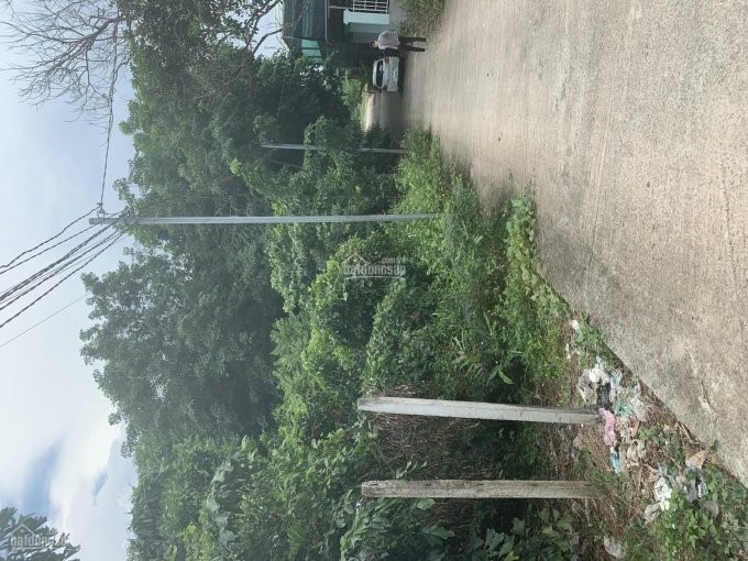 Bán đất đường quốc lộ 51, an phước, ngay khu thung lũng xanh. cổng kcn long thành, ngang 15x24m