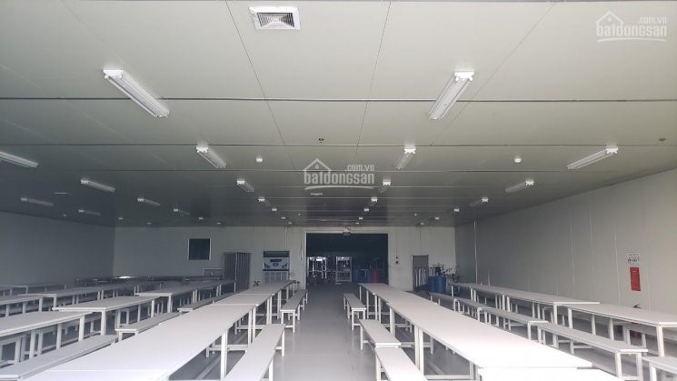 Cho thuê kho xưởng dt 1600m2, kcn thuận thành 2, thuận thành 3