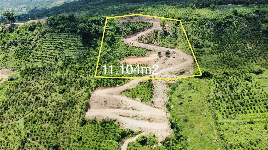 Bán lô đất đồi cao view đẹp tại xã tân nghĩa  sông đồng nai