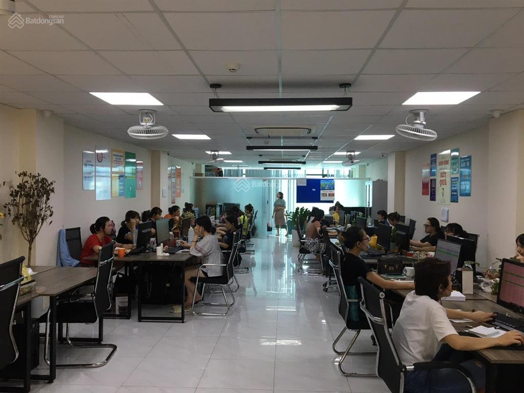 Vp cho thuê quận đống đa, phố phạm ngọc thạch dt 250m2, giá cực ưu đãi