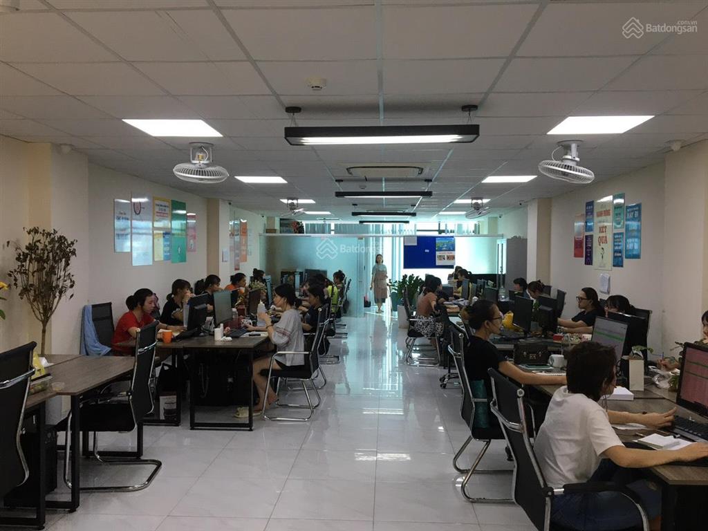 Vp cho thuê quận đống đa, phố phạm ngọc thạch dt 250m2, giá cực ưu đãi