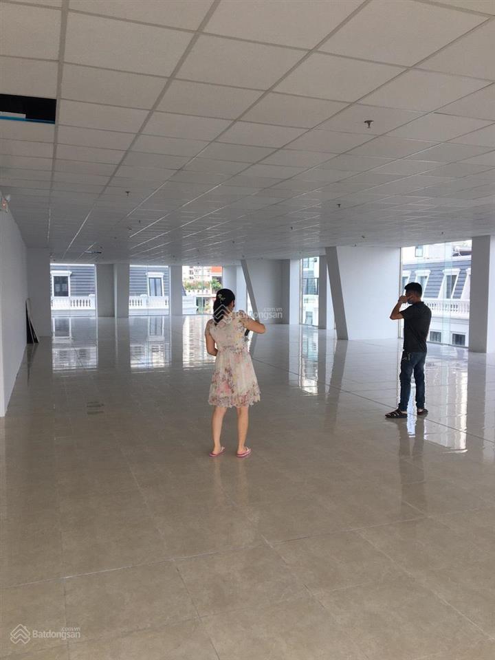 Vp cho thuê quận đống đa, phố phạm ngọc thạch dt 250m2, giá cực ưu đãi