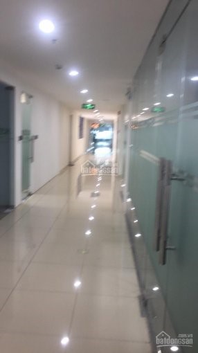 Cho thuê vp tòa báo nông thôn ngày nay 68 dương đình nghệ, cầu giấy 150m2