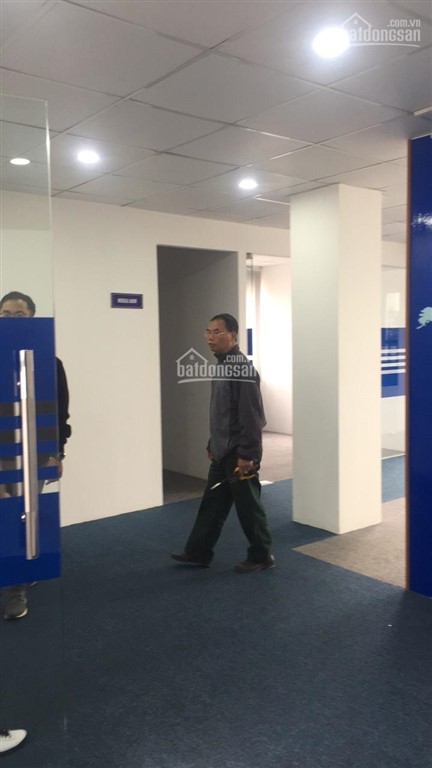 Cho thuê văn phòng tòa nhà sao mai 431 tam trinh, hoàng mai 30, 70, 100, 500m2 giá 140 nghìn/m2/th