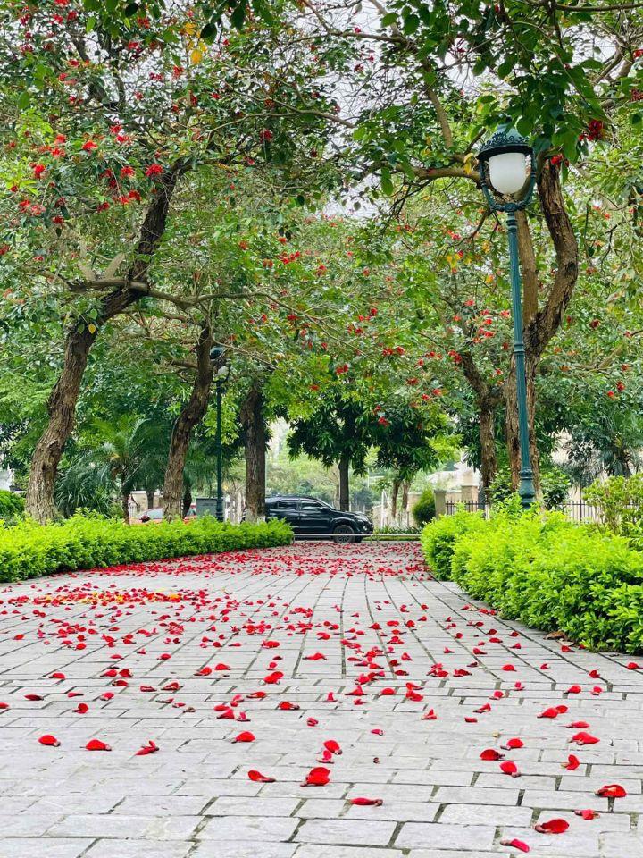 Bán gấp nhà vườn 210m2 duy nhất kđt Vista Lago, Nam An Khánh, giá cực mềm