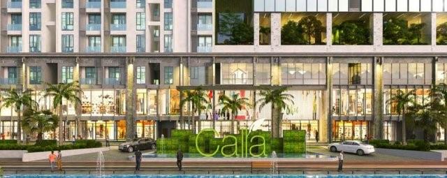 Calla Garden