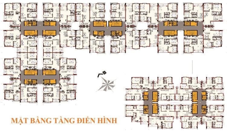 TaniBuilding Sơn Kỳ 2