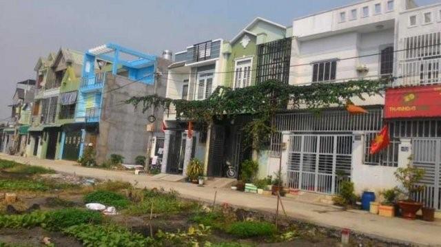 HTReal Hoàn Cầu