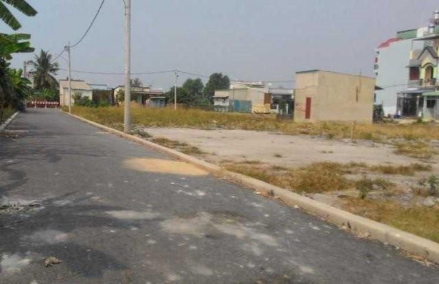 HTReal Hoàn Cầu