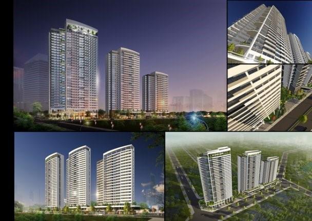 Newtatco Vĩnh Phúc