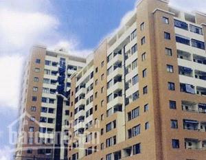 41Bis Điện Biên Phủ