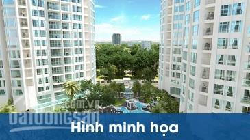 Tây Nam Đại học Thương Mại