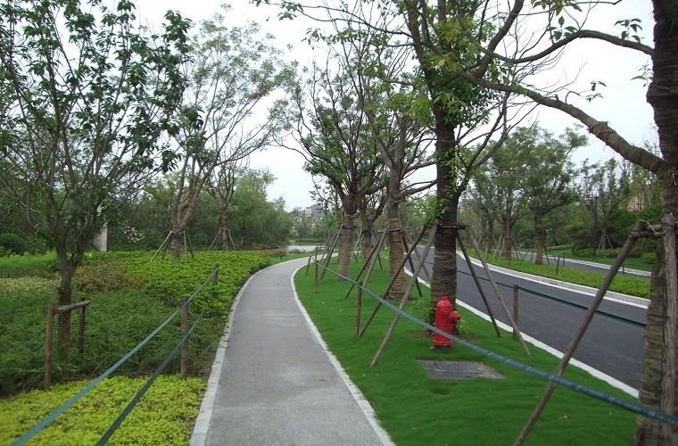 Rose Valley
