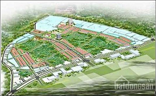 Mai Trai Nghĩa Phủ