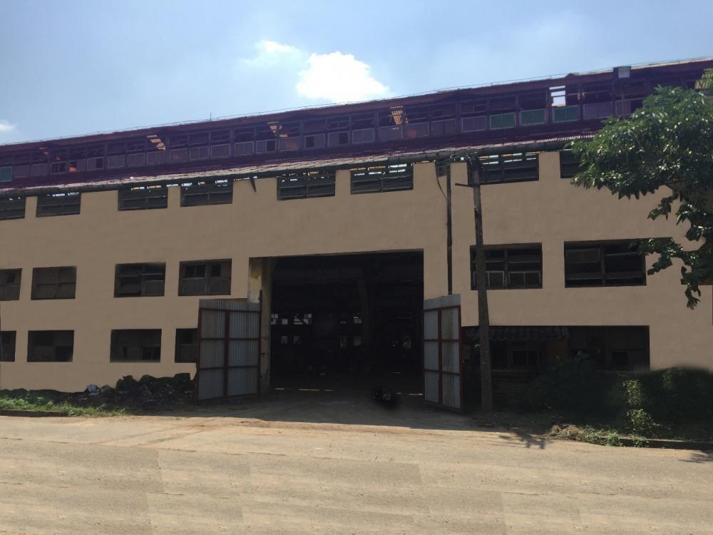 Minh Việt Ngọc Hồi