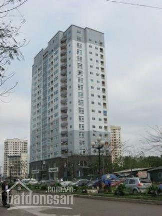 Cienco1 Hoàng Đạo Thúy