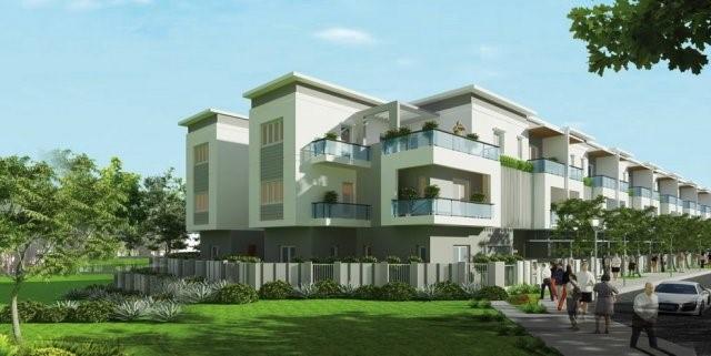 Đầu trục Tây Bắc