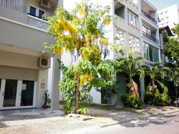 Savimex Phú Thuận