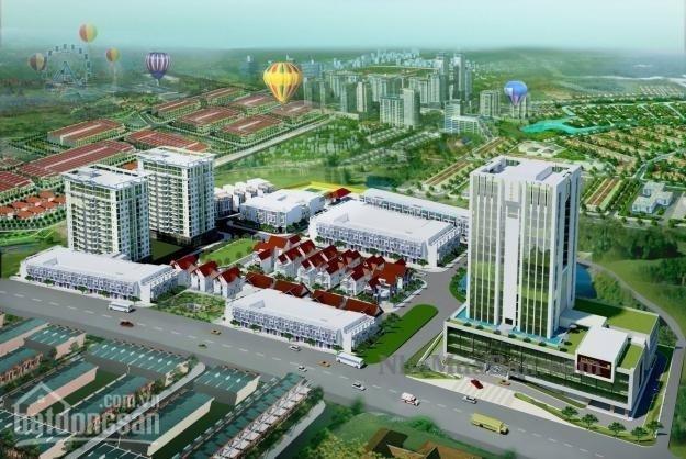 Trương Đình Hội 3