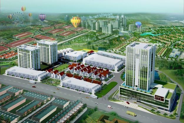 Trương Đình Hội 3