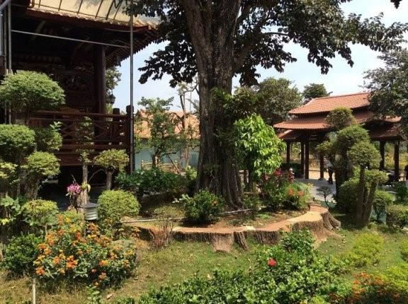 Camland Garden