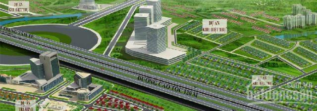 Trí Kiệt Long Trường
