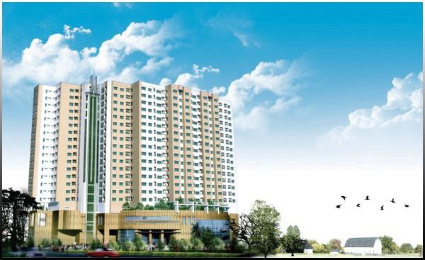 The Useful Apartment