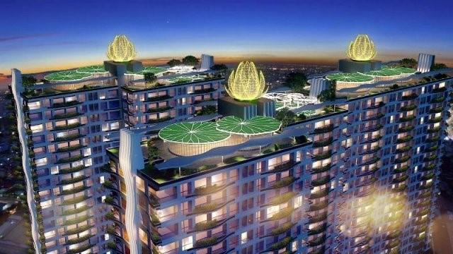 Diamond Lotus Lake View