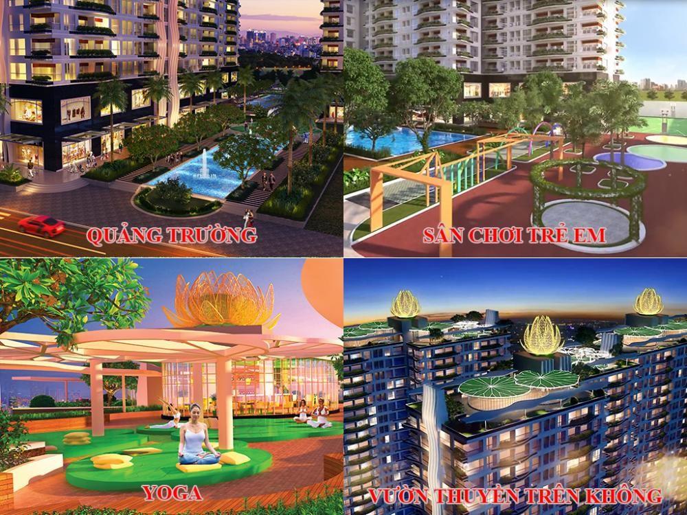 Diamond Lotus Lake View