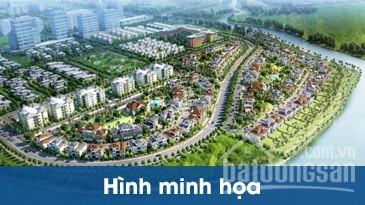 Ecohomes Tri Thức Trẻ