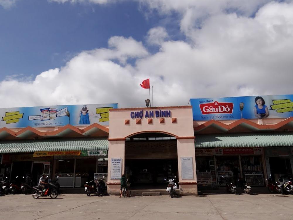 Palm Town