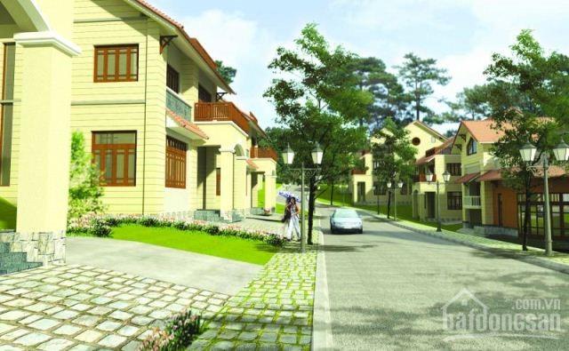 Đà Lạt Green