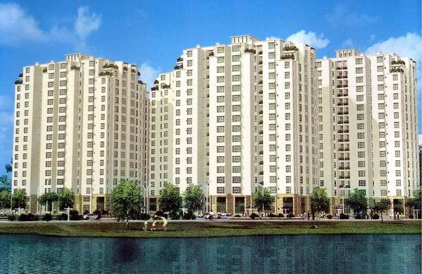 Hoàng Anh Quy Nhơn