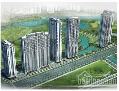 Phú Mỹ Quảng Ngãi