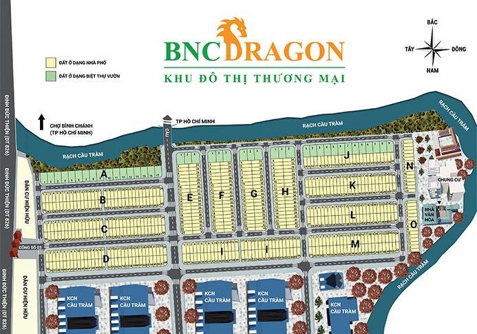 BNC Dragon