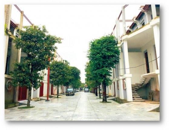 Trường Sơn Homes