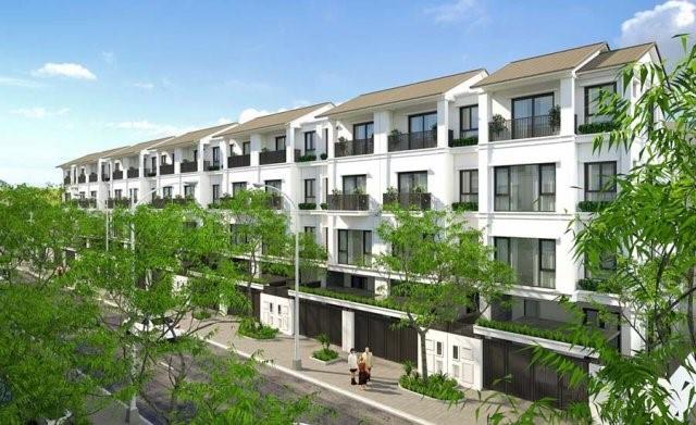 TMS Homes Wonder World