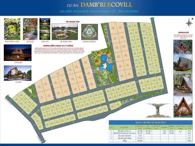 Dambri Ecovill