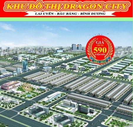 Dragon City