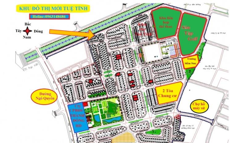 KĐTM Tuệ Tĩnh