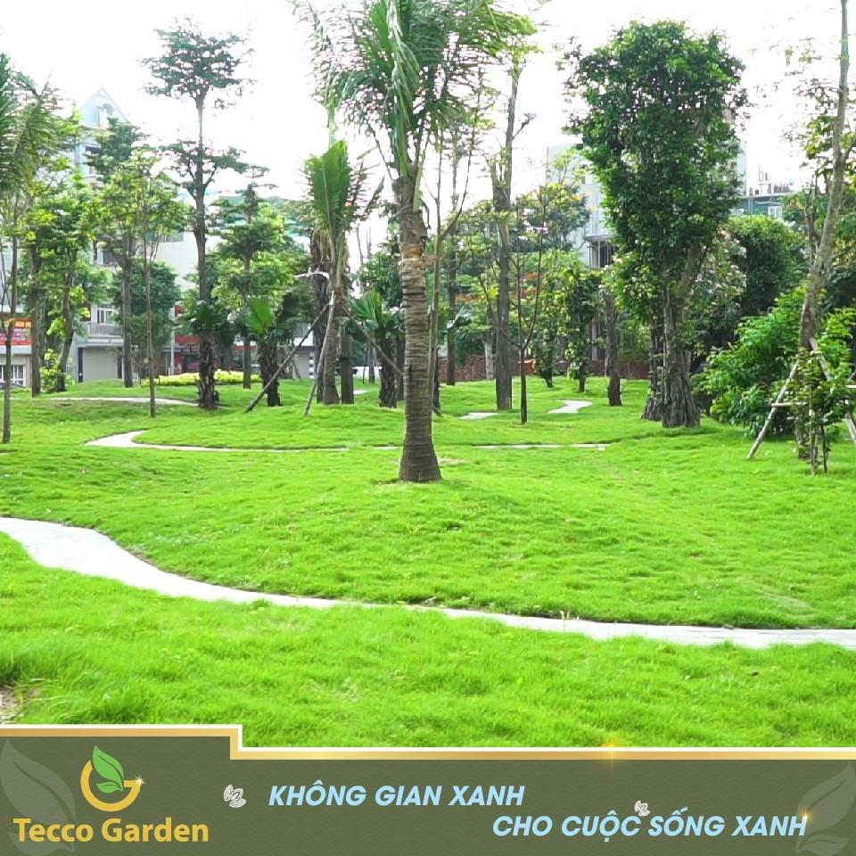 Tecco Garden