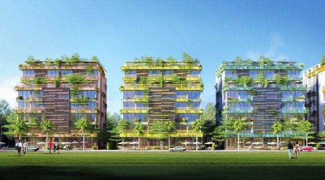 Flamingo Hải Tiến