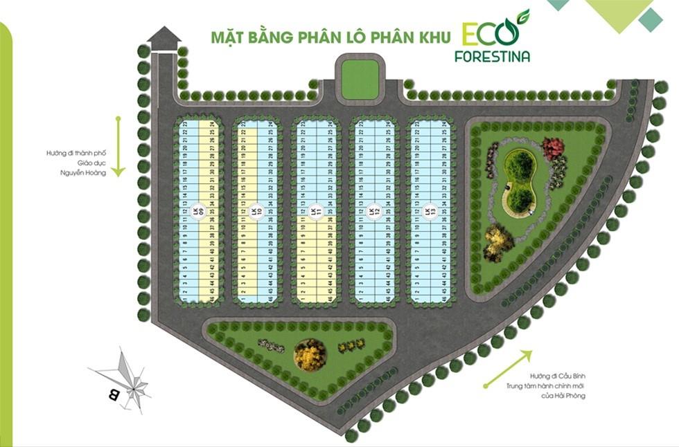 Eco Forestina