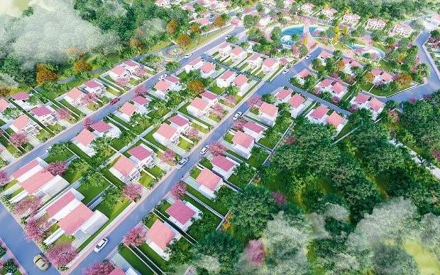 Pine Valley Bảo Lộc